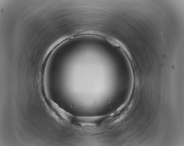 X0000086301149200703301155