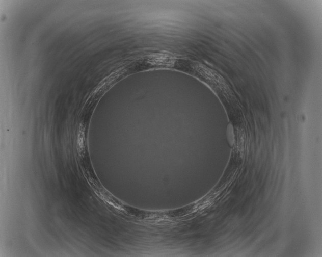 X0000086301154200703301154
