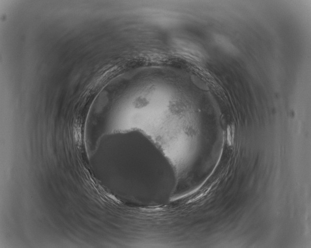 X0000086301155200703301154