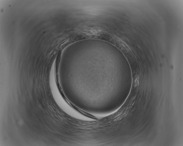 X0000086301156200703301154