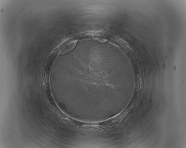 X0000086301158200703301154