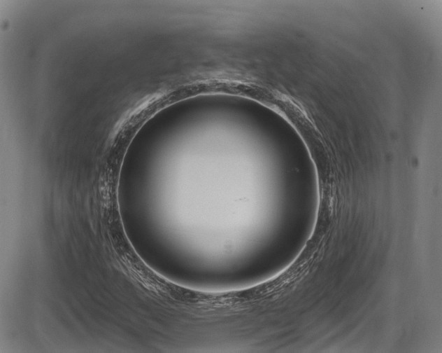 X0000086301159200703301154