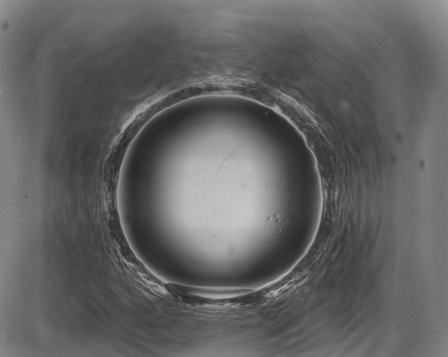 X0000086301160200703301154