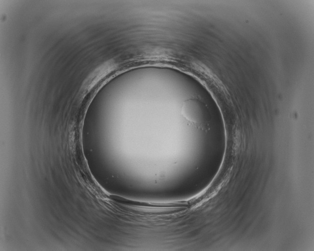 X0000086301162200703301154