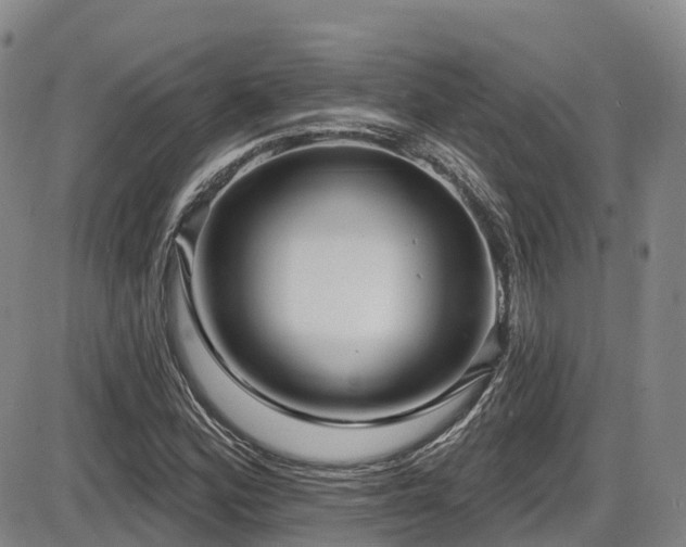X0000086301164200703301154