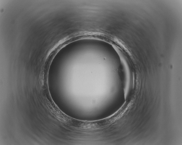 X0000086301165200703301154