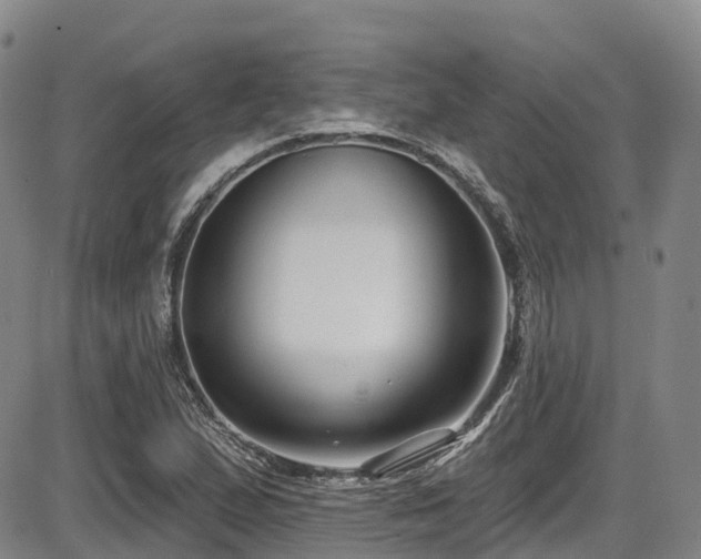 X0000086301167200703301154