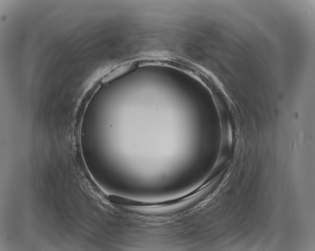 X0000086301168200703301154