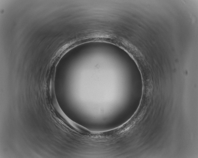 X0000086301169200703301154