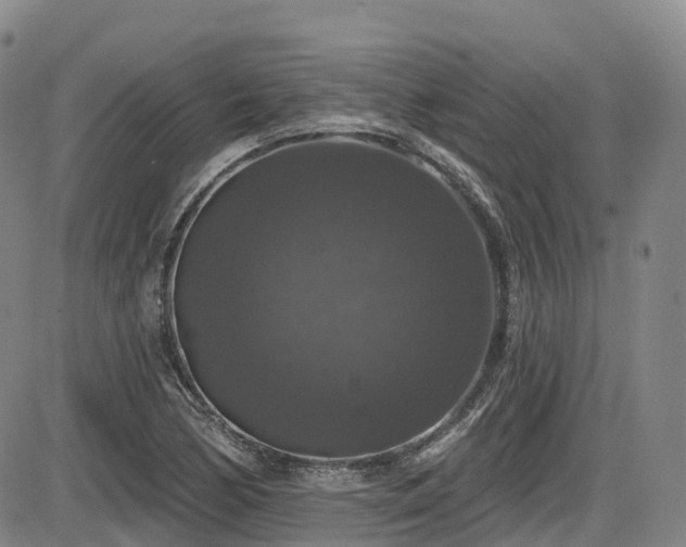 X0000086301170200703301154