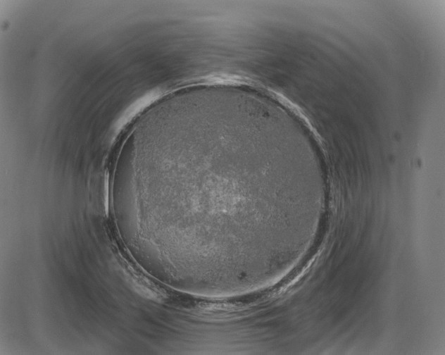 X0000086301171200703301154