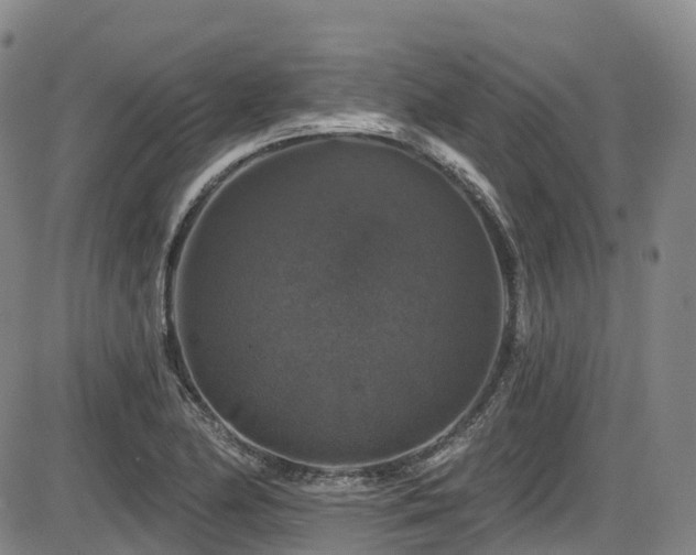 X0000086301174200703301154