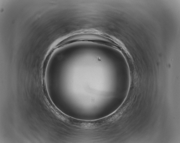 X0000086301176200703301154