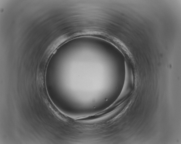 X0000086301177200703301154