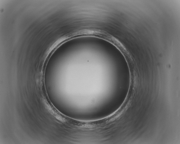 X0000086301178200703301154