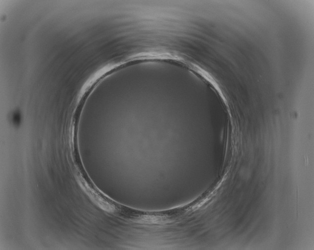 X0000086301179200703301154