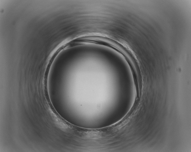 X0000086301181200703301154