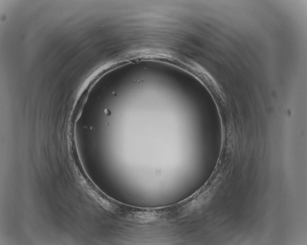 X0000086301182200703301154
