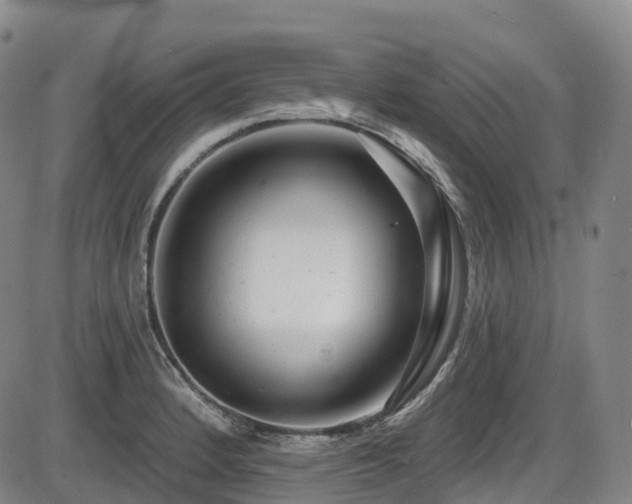 X0000086301184200703301154