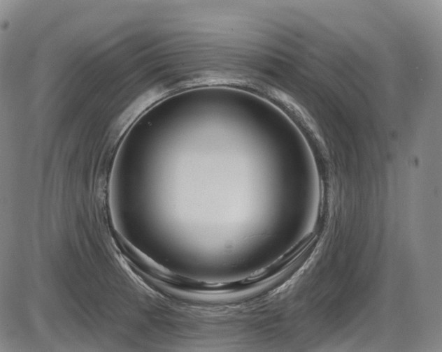 X0000086301185200703301154