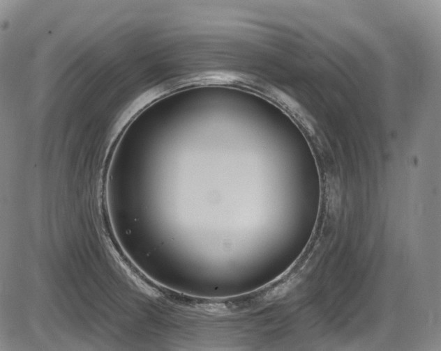 X0000086301186200703301154