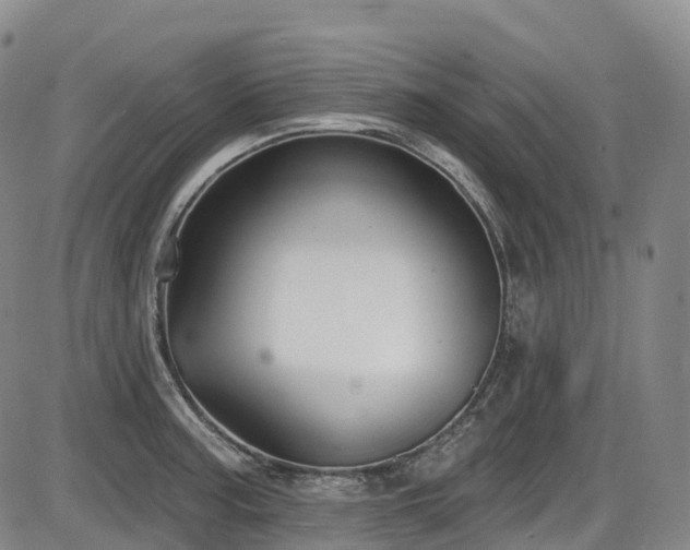 X0000086301187200703301154