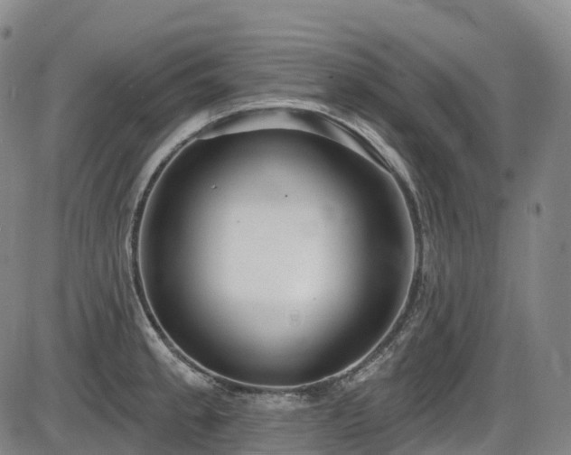 X0000086301189200703301154