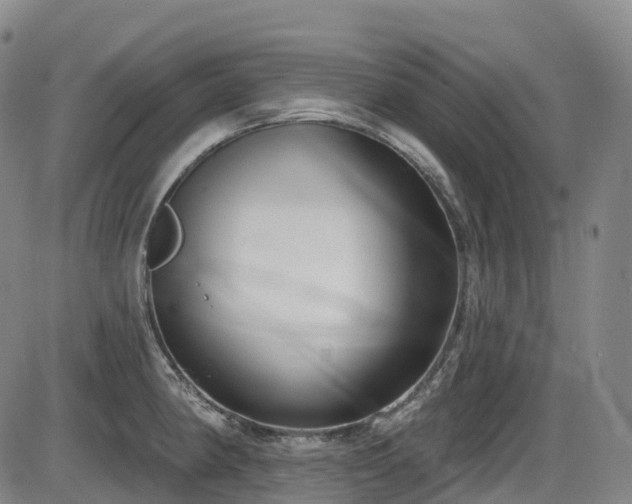 X0000086301190200703301154