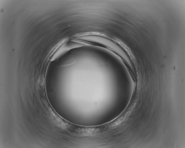 X0000086301193200703301154