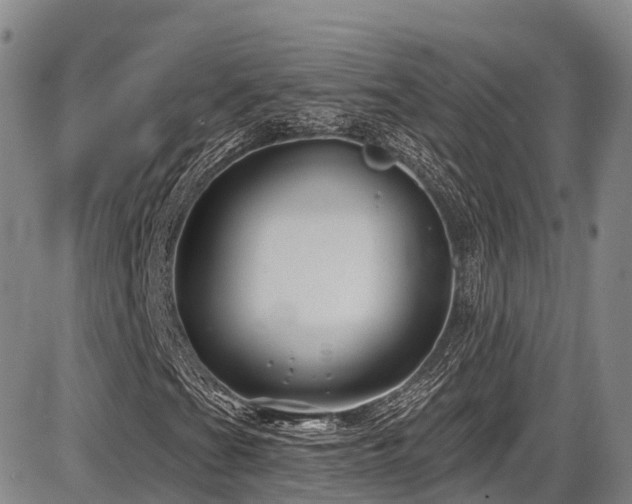 X0000086301201200703301153