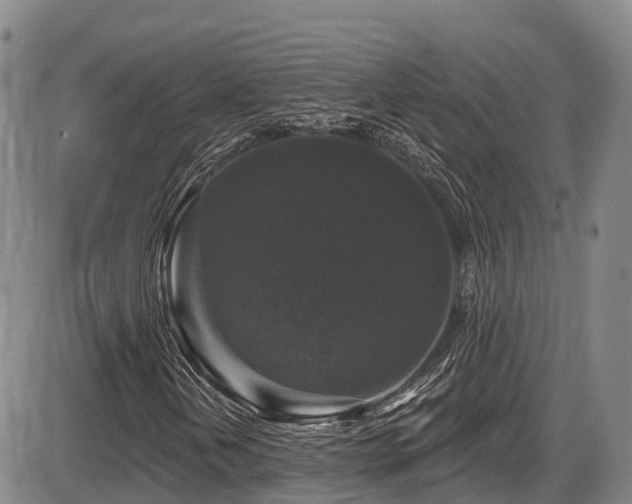 X0000086301202200703301153