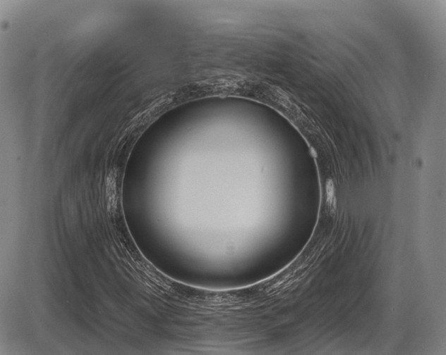 X0000086301203200703301153