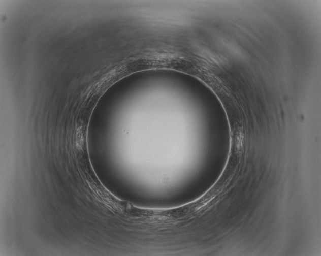 X0000086301204200703301153