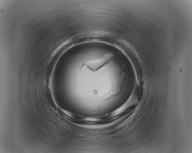 X0000086301210200703301153