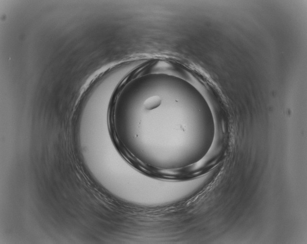 X0000086301214200703301153