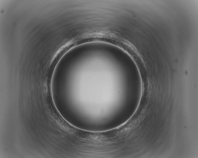 X0000086301218200703301153