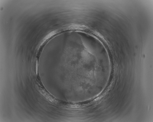 X0000086301219200703301153