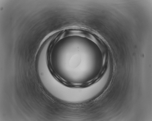 X0000086301222200703301153