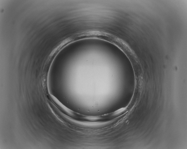 X0000086301225200703301153