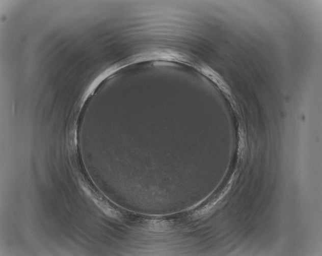 X0000086301226200703301153