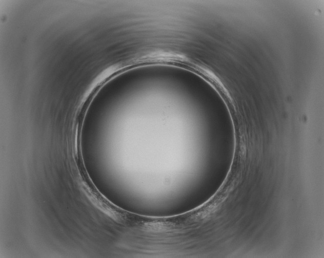X0000086301227200703301153