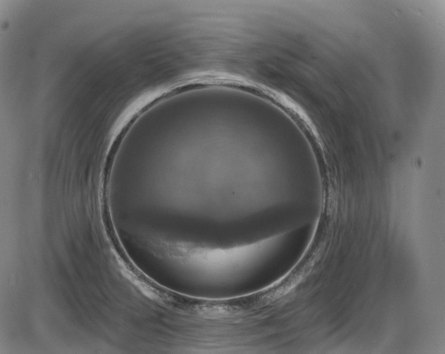 X0000086301231200703301153