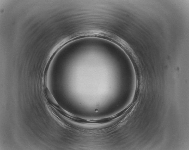 X0000086301234200703301153