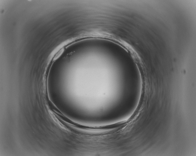 X0000086301238200703301153