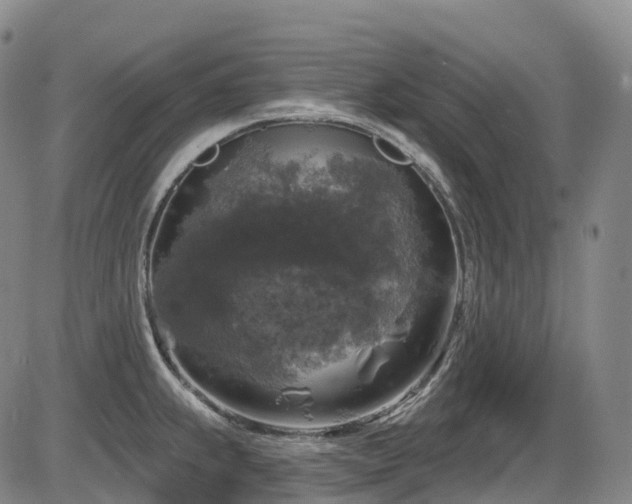 X0000086301239200703301153
