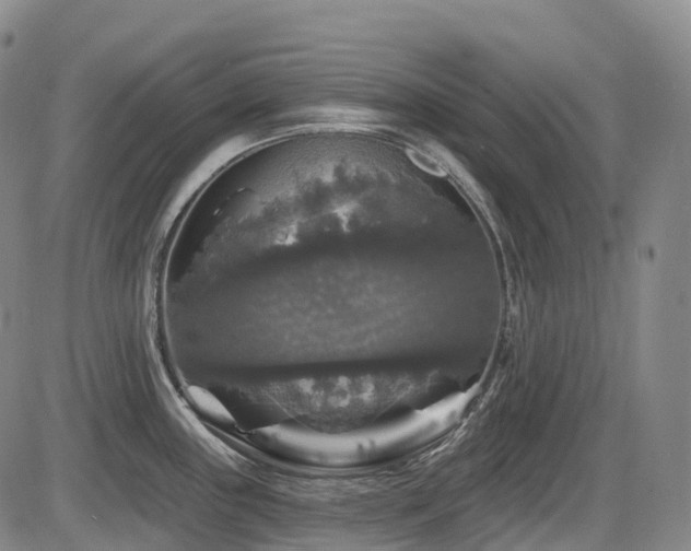 X0000086301243200703301153