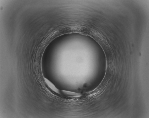 X0000086301249200703301153