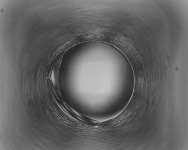 X0000086301250200703301153