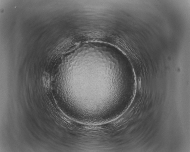 X0000086301251200703301153
