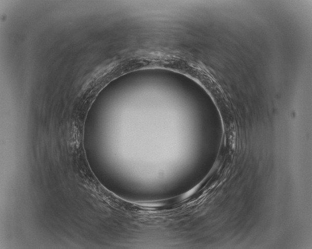 X0000086301253200703301153